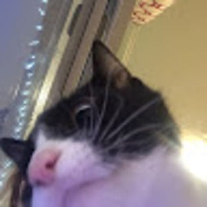 Meet your Posher, Ava